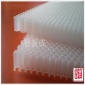 荐 高强度PP塑料蜂窝板 聚丙烯复合材料蜂窝滤芯网